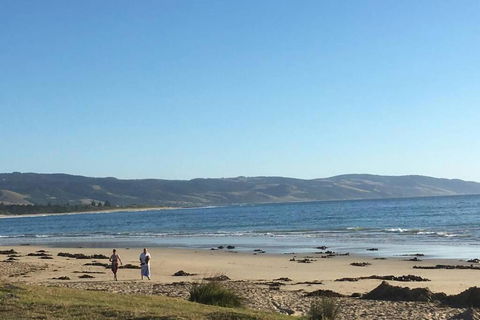 Apollo Blue Oceanview Unit 1- B Free WIFI - Hotel Accommodation 0