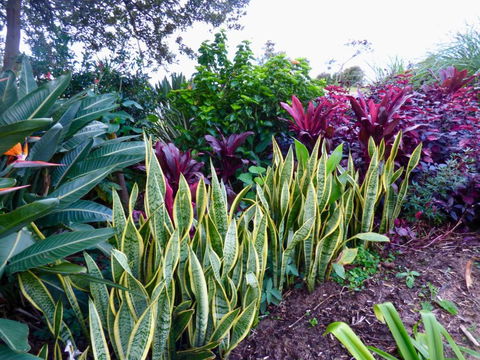 ArtHOUSE Beachfront Accommodation - Hotel Accommodation 2