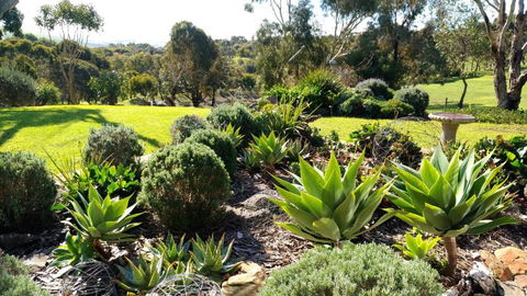 Austiny Bed And Breakfast Victor Harbor - Hotel Accommodation 2