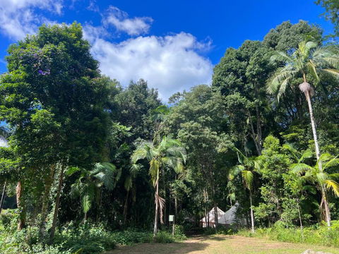 Avana Byron Glamping - Hotel Accommodation 2