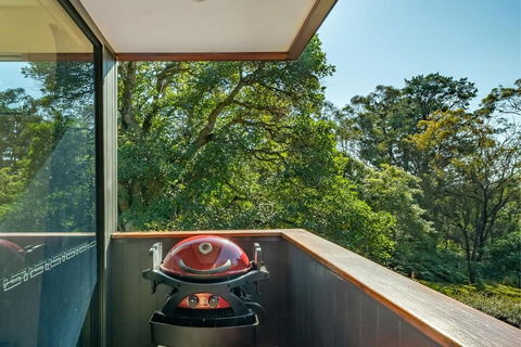 Architecturally Designed Nature Lovers Delight - Hotel Accommodation 1