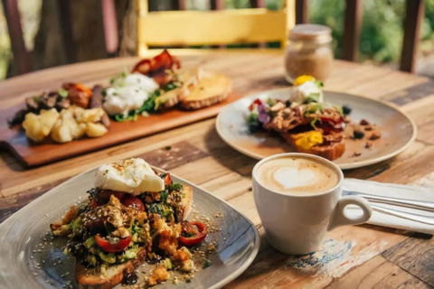 Architecturally Designed Nature Lovers Delight - Hotel Accommodation 4