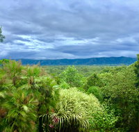 Daintree Manor BB - Hotel Accommodation