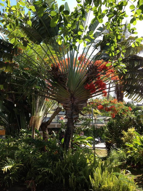 Port Douglas Apartments - Adults Only Oasis - Hotel Accommodation 39