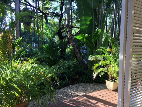 Port Douglas Apartments - Adults Only Oasis - Hotel Accommodation 2