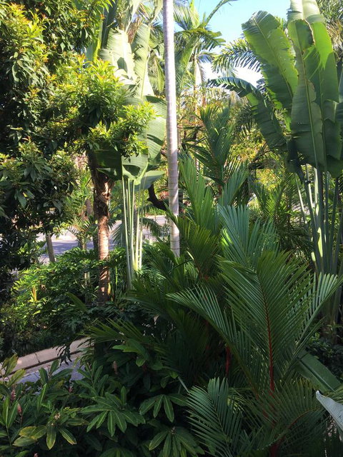 Port Douglas Apartments - Adults Only Oasis - Hotel Accommodation 1