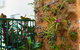 Port Douglas Apartments - Adults Only Oasis - thumb 27