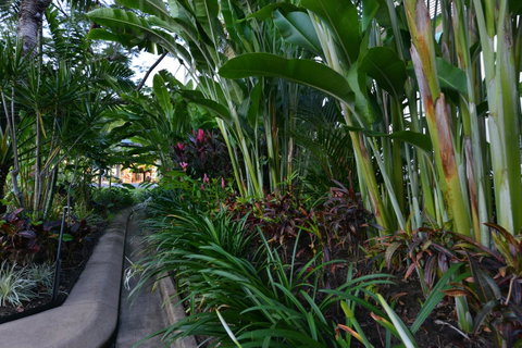 Port Douglas Apartments - Adults Only Oasis - Hotel Accommodation 9