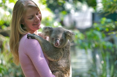 Martinique On Macrossan - Hotel Accommodation 30