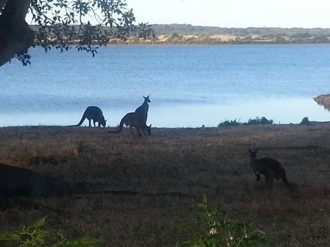 Ratcliff Cottage - Hotel Accommodation 2