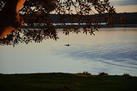 Ratcliff Cottage - Hotel Accommodation 11