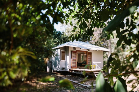 The Little Bush Hut - Hotel Accommodation 0