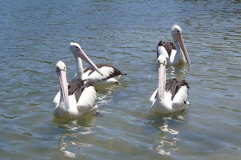 Keith's Sister - Hotel Accommodation 42