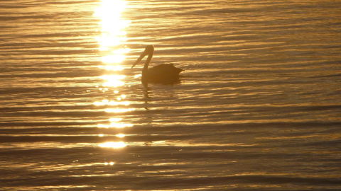 Keith's Sister - Hotel Accommodation 44