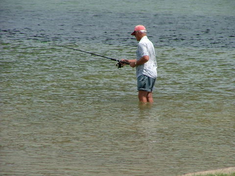 Hampton Cottage- Delightful Cottage Bring Your Dog! - Hotel Accommodation 4