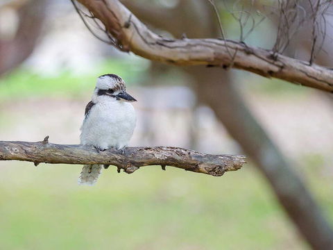 1 'Intrepid', 3 Intrepid Close - Amazing Views Of Shoal Bay, Only 100m From The Beach - Hotel Accommodation 1