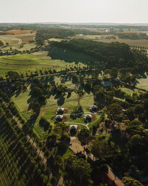 CANVS By CABN Seppeltsfield Barossa - Hotel Accommodation 1