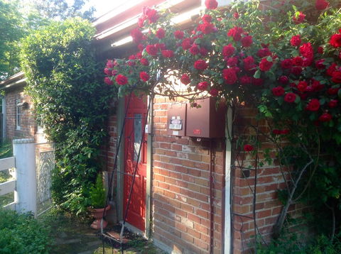 A Country Barn Retreat - Hotel Accommodation 2