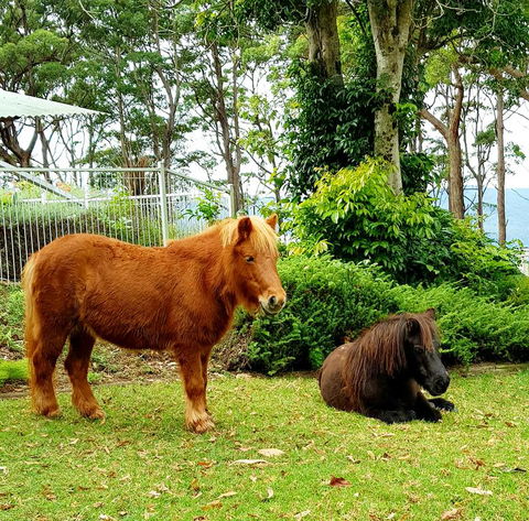 Aaronlee Retreat - Hotel Accommodation 1