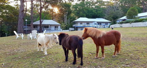 Aaronlee Retreat - Hotel Accommodation 2