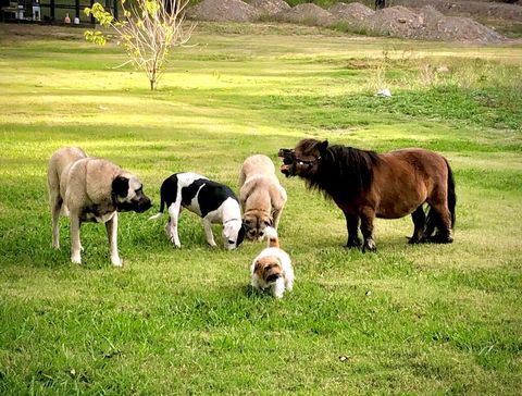 Absolute Riverfront Shipping Container Cabin - Hotel Accommodation 2