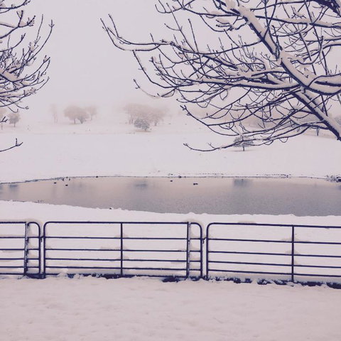 Drayshed Cottage - Hotel Accommodation 4