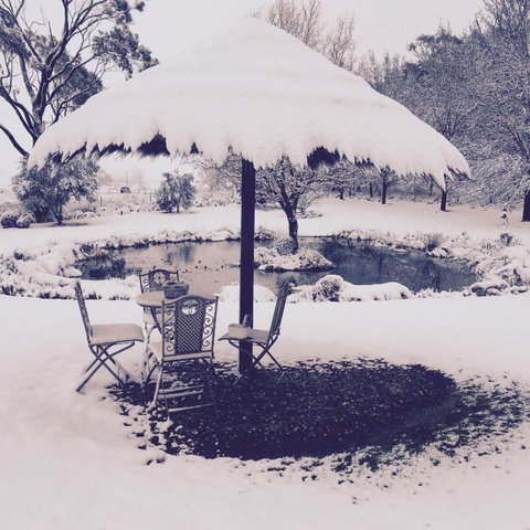 Drayshed Cottage - Hotel Accommodation 3