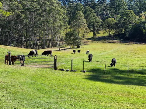 Fiery, Cozy Starry Nights - Farm Stay! - Hotel Accommodation 2