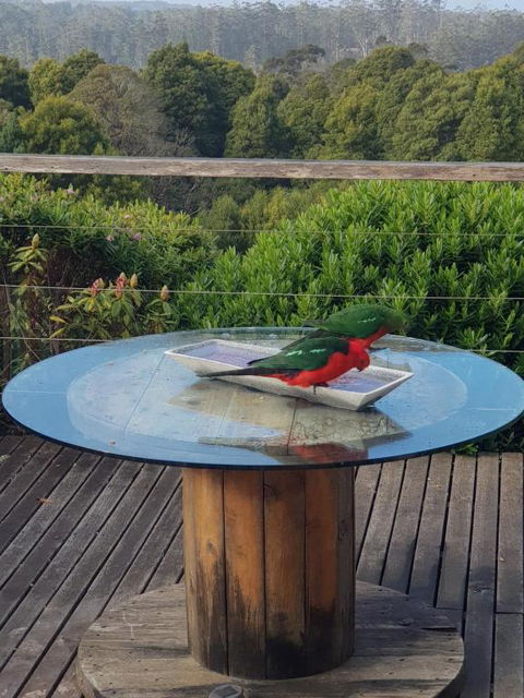 Gone Surfin - Hotel Accommodation 2