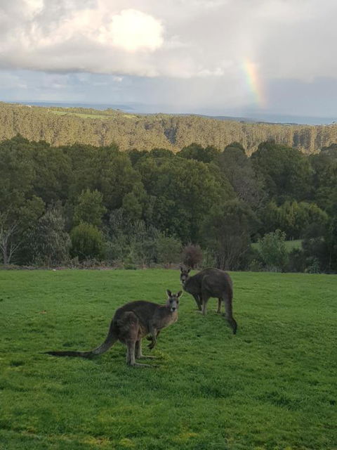 Gone Surfin - Hotel Accommodation 1