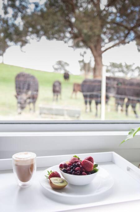 Hickey Vale Farm Lodge Pet Friendly - Hotel Accommodation 2