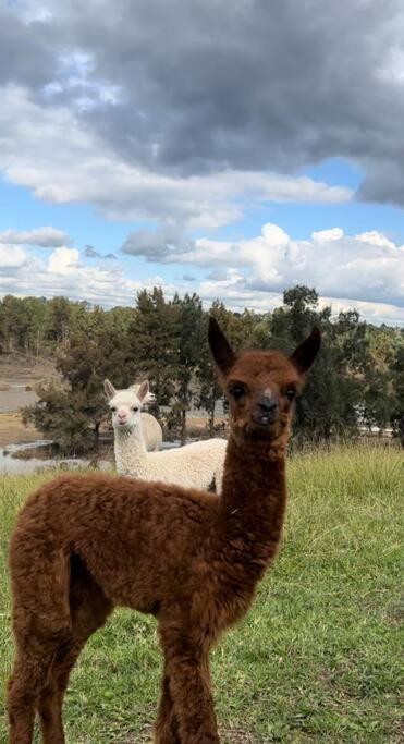 Hill Top Tiny River House - Hotel Accommodation 1