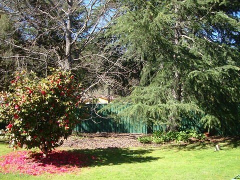 Ageri Holiday House - Hotel Accommodation 1