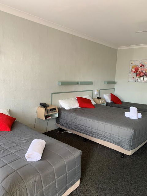 Alluna Motel - Hotel Accommodation 1