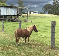 AMs Farm Stay - Hotel Accommodation