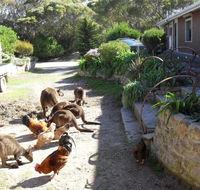 Anchorage Apartments - Hotel Accommodation