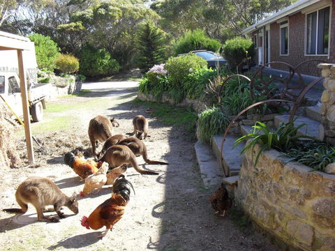 Anchorage Apartments - Hotel Accommodation 0