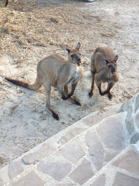 Anchorage Apartments - Hotel Accommodation 1