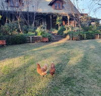 Angaston by the Winter Creek - Hotel Accommodation