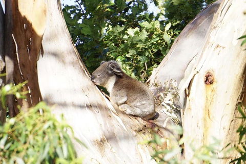 Apollo Panorama Guesthouse - Hotel Accommodation 2