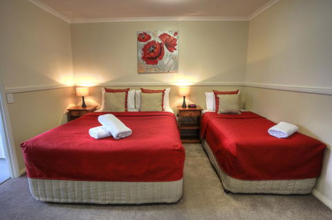 Apple & Grape Motel - Hotel Accommodation 2