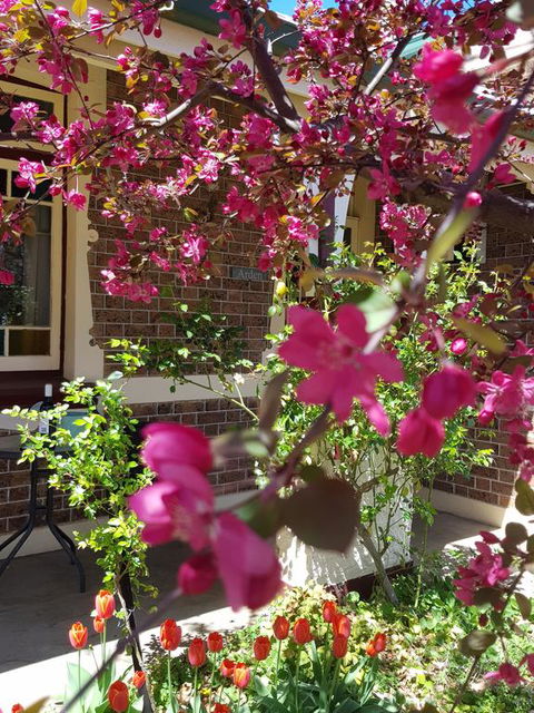 Arden On McLachlan - Hotel Accommodation 3