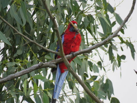 Arnold House - Hotel Accommodation 2