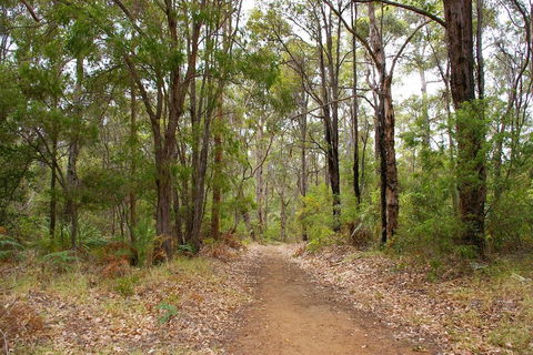 Ashleigh - Hotel Accommodation 2