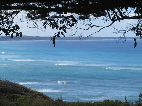 Maizies View - A Hidden Gem - Hotel Accommodation 1