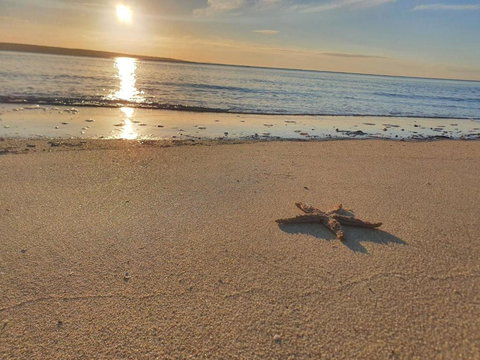 Matildas Of Kangaroo Island - Hotel Accommodation 1