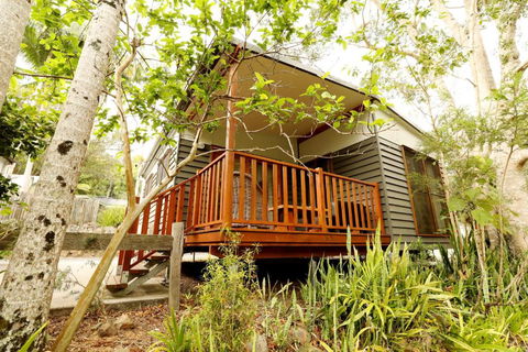 Mt Warning Rainforest Park - Hotel Accommodation 1