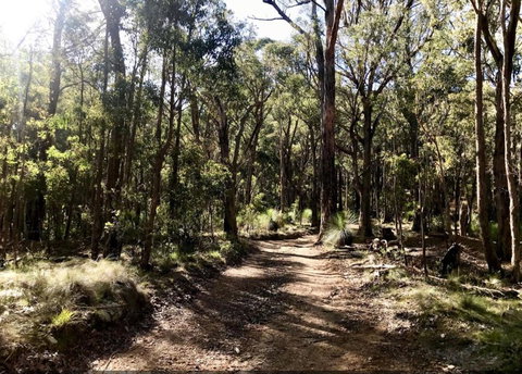 Northfield Boutique Apartments - Hotel Accommodation 1