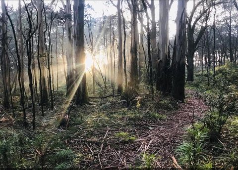 Northfield Boutique Apartments - Hotel Accommodation 2