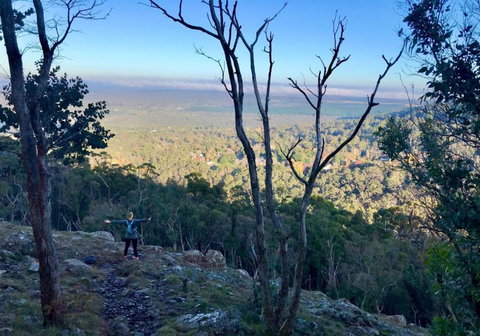 Northfield Boutique Apartments - Hotel Accommodation 3